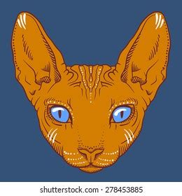 Hairless Sphinx Cat Face Graphics Outline Stock Vector (Royalty Free) 278453885 | Shutterstock