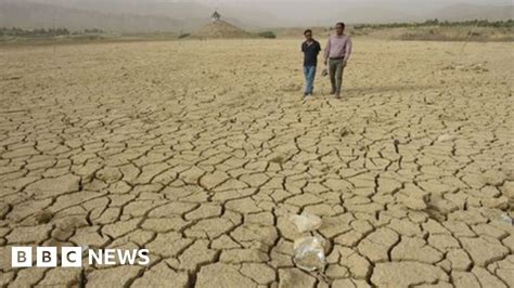 Climate change: UN virtual talks make little progress - BBC News