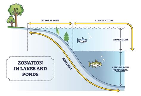 What is the Difference Between a Lake and a Pond?