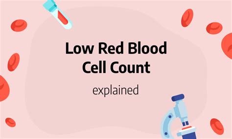 Low Red Blood Cell Count: Causes, Symptoms And Treatment