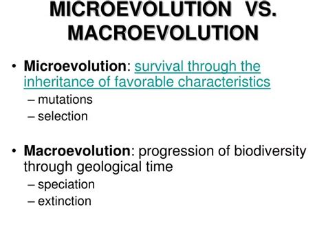 PPT - MICROEVOLUTION VS. MACROEVOLUTION PowerPoint Presentation - ID:4503629