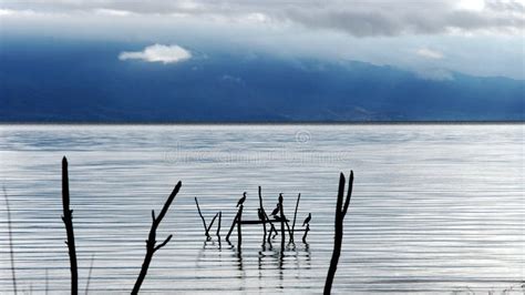 Birds in Lake Prespa stock photo. Image of ohrid, clouds - 47005946