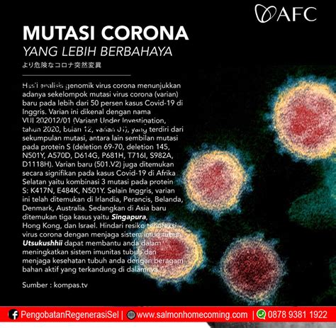 Utsukushii AFC Untuk Daya Tahan Tubuh Agar Terhindar dari Covid-19