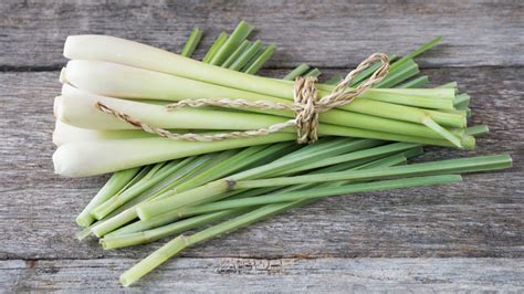 15 Tips You Need When Cooking With Lemongrass