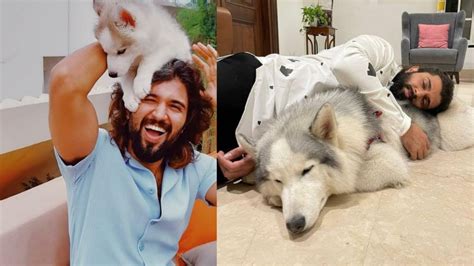 Vijay devarakonda unconditional love with his dog storm - YouTube