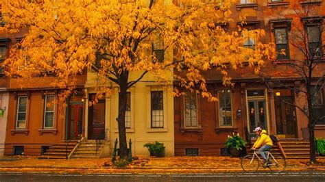 Gorgeous fall foliage in Philadelphia - YouTube