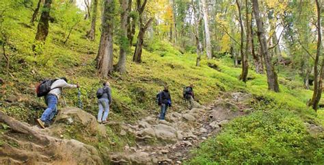 Complete Kheerganga Trek Guide | Useful Guide for Adventurer Lovers - Treebo Blog