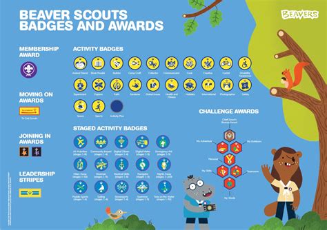 Beavers – Kirky Scouts