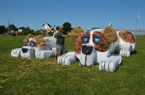 Scarecrow festival, Decorated hay bales, Hay bale ideas