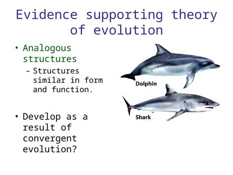 (PPT) Evidence supporting theory of evolution Analogous structures –Structures similar in form ...