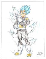 Ssj god Vegeta fukkatusu no f by crazyart26 on DeviantArt