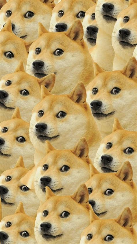 1290x2796px, 2K Free download | Shiba Inu Doge Home Screen, dog meme HD ...