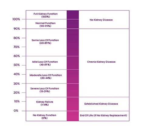 Chronic Kidney Disease Stages