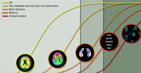 Various biomarkers of Alzheimer's Disease and the stage of disease they... | Download Scientific ...