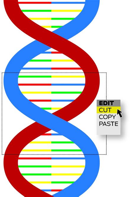 Editing DNA could be genetic medicine breakthrough