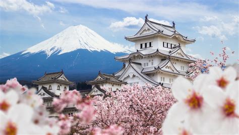 THE ULTIMATE JAPAN TRAVEL GUIDE - The Asia Collective