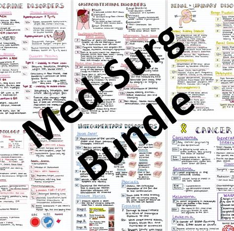 Med-Surg Basics Bundle ™, Nursing Study Guide, Nursing Cheat Sheet Notes, 15 Pages, Notes for ...