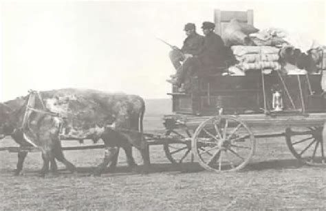 Horse and Oxen - Explore Saskatchewan Agriculture