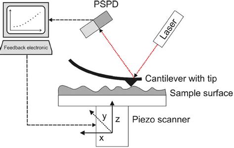 13: Schematic operation principle of atomic force microscope. Modified... | Download Scientific ...