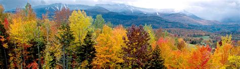 Foliage Forecaster - Vermont Vacation - The Official Vermont Tourism ...