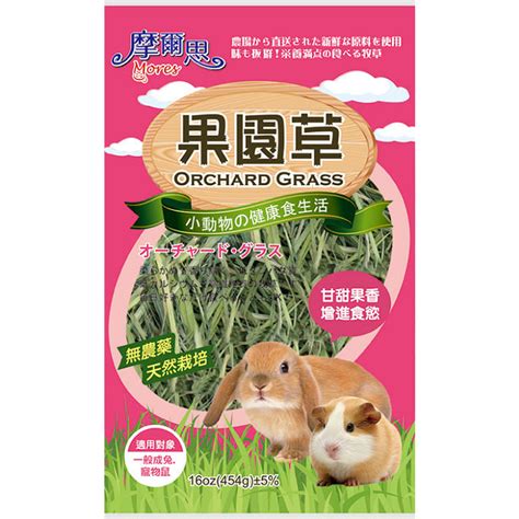 Mores摩爾思 小動物專用 果園草 16oz / 454g x 2入 | 鼠兔飼料/鼠兔用品 | Yahoo奇摩購物中心