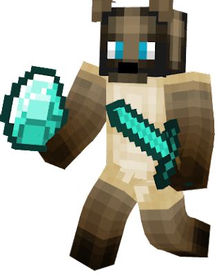 bedwars | Nova Skin