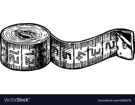 Tape measure Royalty Free Vector Image - VectorStock