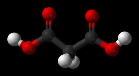 Phenyl Chloro Formate (PCF) at Rs 460/kilogram | Mulund West | Mumbai | ID: 18815881662