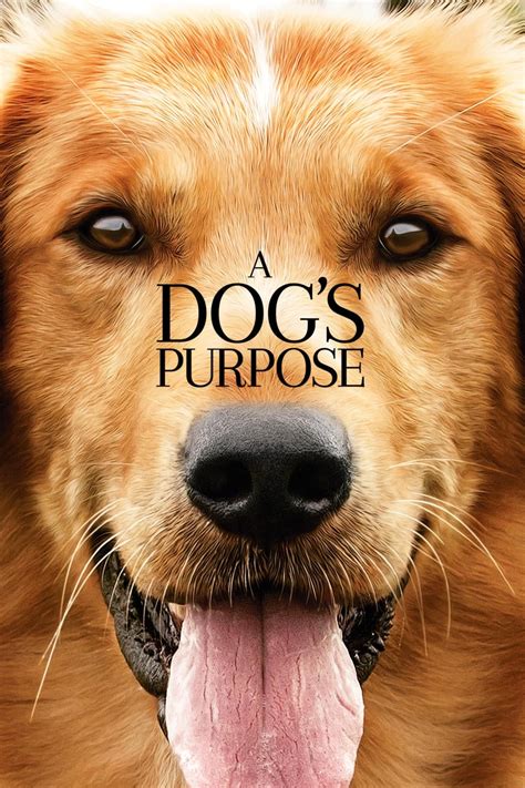 A Dog's Purpose (2017) - Posters — The Movie Database (TMDb)