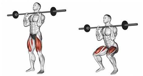 Dumbbell Squat vs Barbell Squat: What's the Difference? - Inspire US