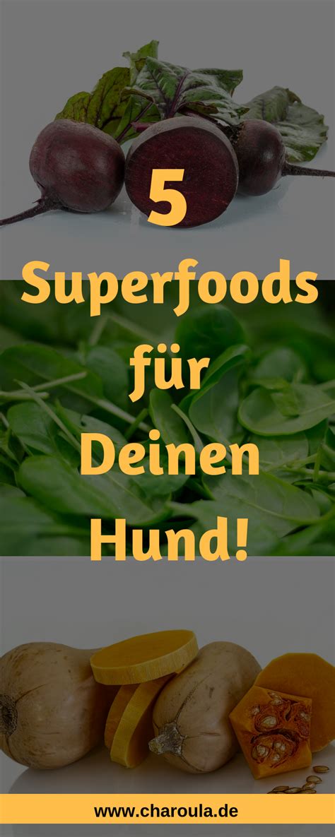 Pin auf hundeernährung