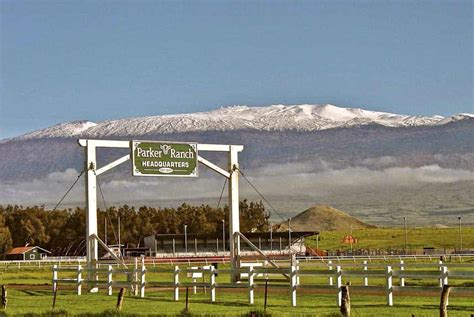 Parker Ranch (waimea): Free Guided Hikes, the 4th of July Rodeo, Tours