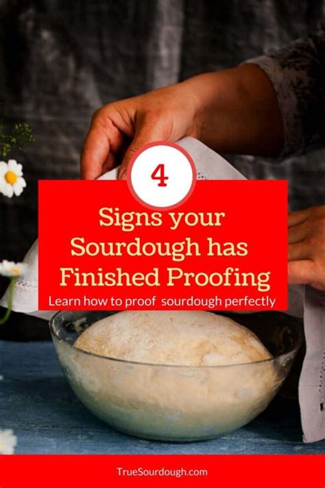 4 Signs your Sourdough has Finished Proofing – Truesourdough.com