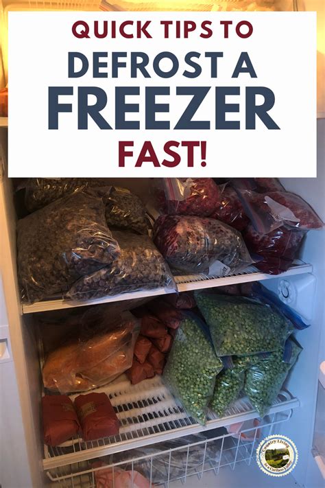 How to Quickly Defrost a Freezer - Upright or Chest | Freezer hacks, Freezer, Frozen food