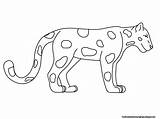 Jaguar Coloring Pages  Free Printable Kids sketch template