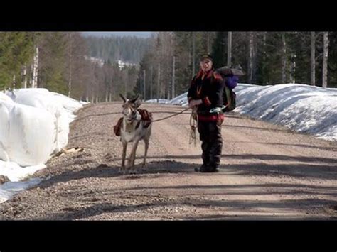 The Last Generation? – Sami Reindeer Herders in Swedish Lapland, Documentary | Sweden history ...