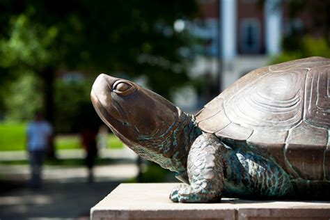 University of Maryland Photo Collection | Media | Testudo Statue ...