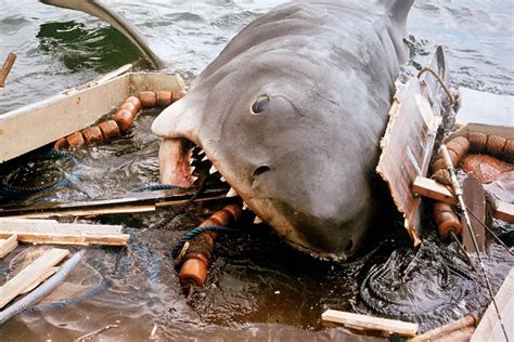 Sharks In Cinema & Environmental Anxieties: From JAWS To THE MEG - Film Inquiry