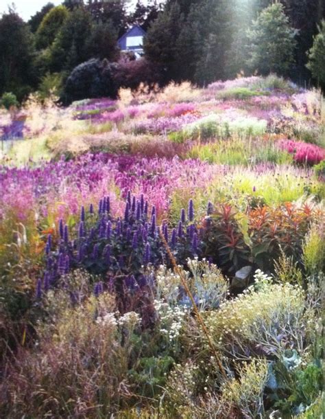 Piet Oudolf Gardens In Us - Landscape Architecture Modern Park Design