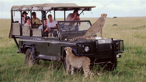 4 days Masai Mara luxury safari | Kenya Safari Tours