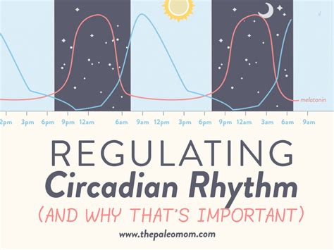 Regulating Circadian Rhythm (and why that's important) - The Paleo Mom