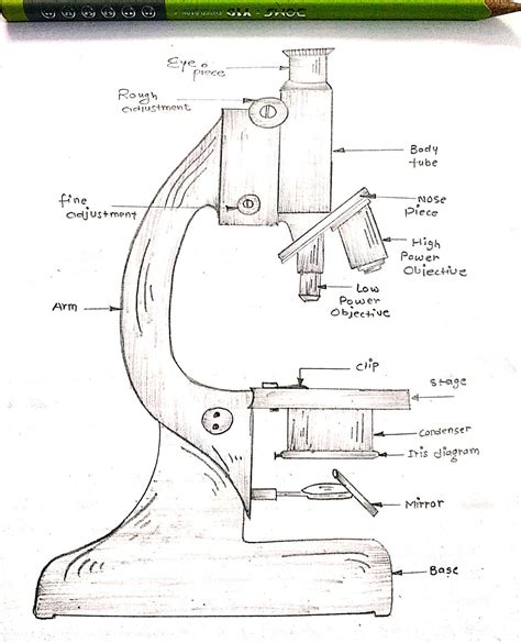 Microscope Drawing/Art..Black&white pencil shade...Medical/biology/project/assignment