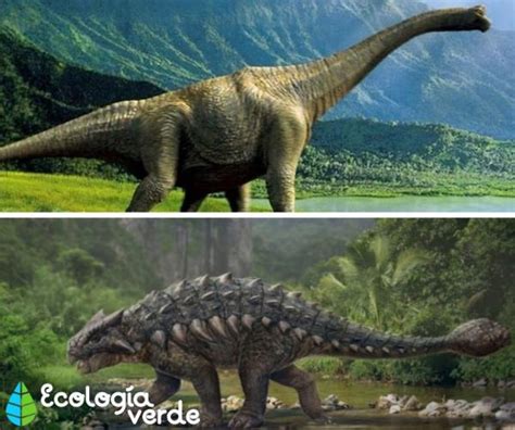 DINOSAURIOS HERBÍVOROS: Nombres, Tipos, Características e Imágenes