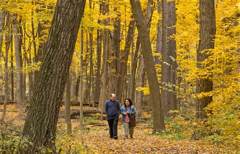 About the Arboretum | The Morton Arboretum