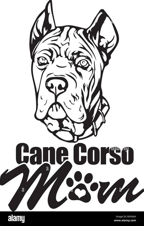 Cane Corso Dog Breed Head Isolated Pedigree Pet Portrait Smiling Happy Puppy Face Animal Cartoon ...