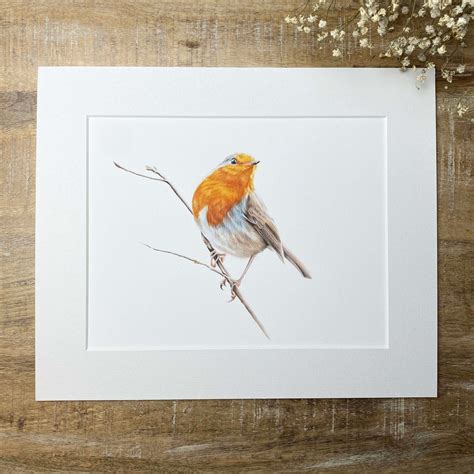 Robin Limited Edition Mounted Fine Art Giclee Print | Etsy