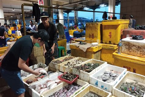 Sambut Nataru, Harga Ikan di Muara Baru Meroket - GenPI.co