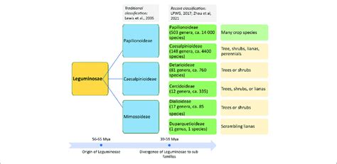 | Origin of the Leguminosae family and classification of its members in... | Download Scientific ...