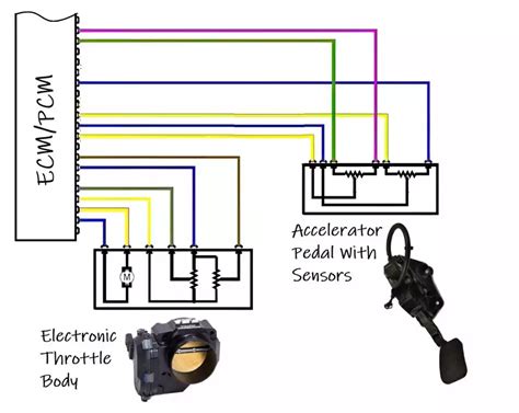 Throttle Position Sensor Wiring Diagram