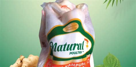 AYAM KAMPUNG ORGANIK NATURAL POULTRY - Natural Poultry